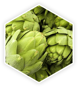 Artichoke Extract -Prosta vive