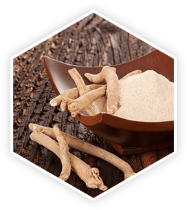 Ashwagandha - Prosta vive