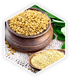 Fenugreek -Prosta vive